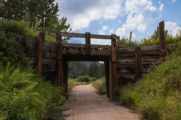 Fototapety na wymiar - Fototapeta24.pl