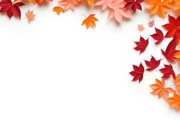 Maple floral border backgrounds plant leaf.