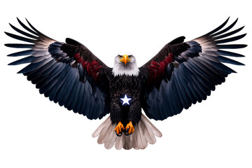 Obraz premium Majestic Bald Eagle with Wings Spread Wide Displaying Patriotism, cut out transparent