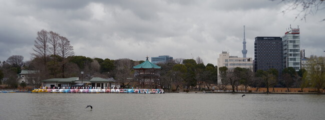 Large pond with boats and Tokyo cityscape in winter, Japan