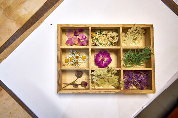 A wooden box with nine compartments holding pressed and dried flowers and leaves, including...