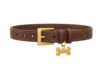 Isolated Brown Leather Dog Collar with Bone Charm for Pets