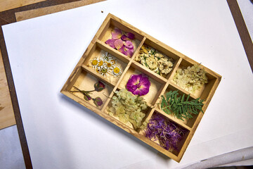 A wooden box with nine compartments holding pressed and dried flowers and leaves, including...