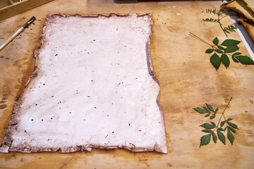A creative botanical project featuring pressed and dried flowers, handmade paper, and artistic...