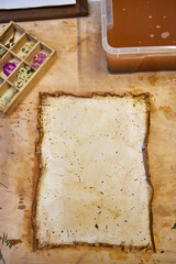 A creative botanical project featuring pressed and dried flowers, handmade paper, and artistic...