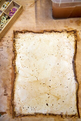 A creative herbarium project showing the full process of preserving and arranging pressed flowers...