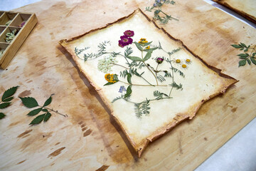 A creative herbarium project showing the full process of preserving and arranging pressed flowers...