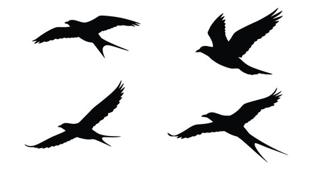 Four swallow silhouettes in flight against a white background for graphic design
