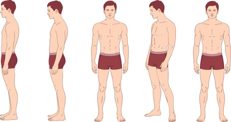 Flat vector illustration, male body anatomy, front and side views, fitness reference, medical diagram, posture study, human figure, muscular structure, health education, anatomical chart