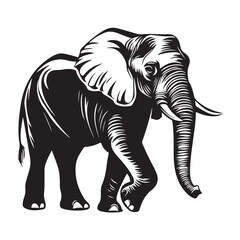 Obraz premium Black silhouette of an African elephant with tusks in side view vector illustration