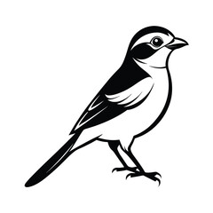 Minimalist shrike bird outline design with subtle detail and color options