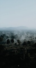 Misty landscape view of trees and hills