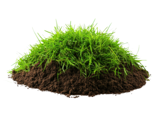 Green Grass and Earth: A close-up of a vibrant green grass and rich brown earth creates a captivating juxtaposition of textures and hues, perfect for illustrating concepts of growth.