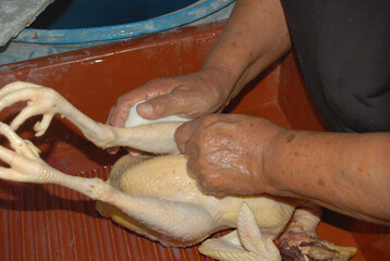 Spicy chicken tamales, traditional Mexican cuisine