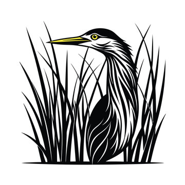 Elegant vector illustration of a bittern bird concealed within tall reeds accented by a subtle thin vertical line composition