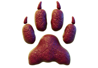 Close-up of a realistic pink and purple paw with claws on a black background