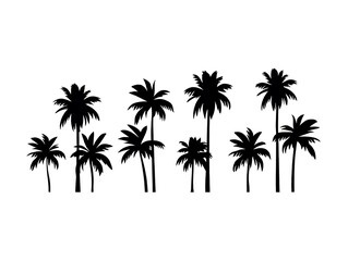 Collection of Diverse Palm Trees Silhouetted Against a White Background