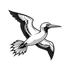 Dynamic line art illustration of a gannet bird in mid dive with smooth flowing strokes