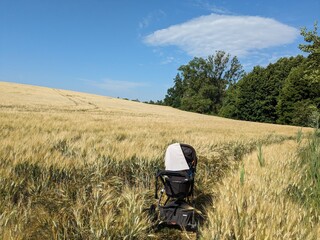 Baby stroller with sun canopy on wheat field edge during walk in countryside forest border