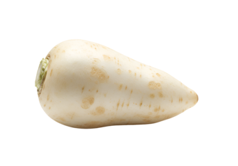 Close-up of a white radish root on a black background with detailed texture and natural appearance
