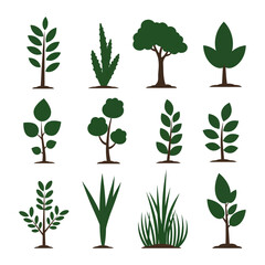 Collection of Twelve Green Tree and Plant Illustrations on a White Background