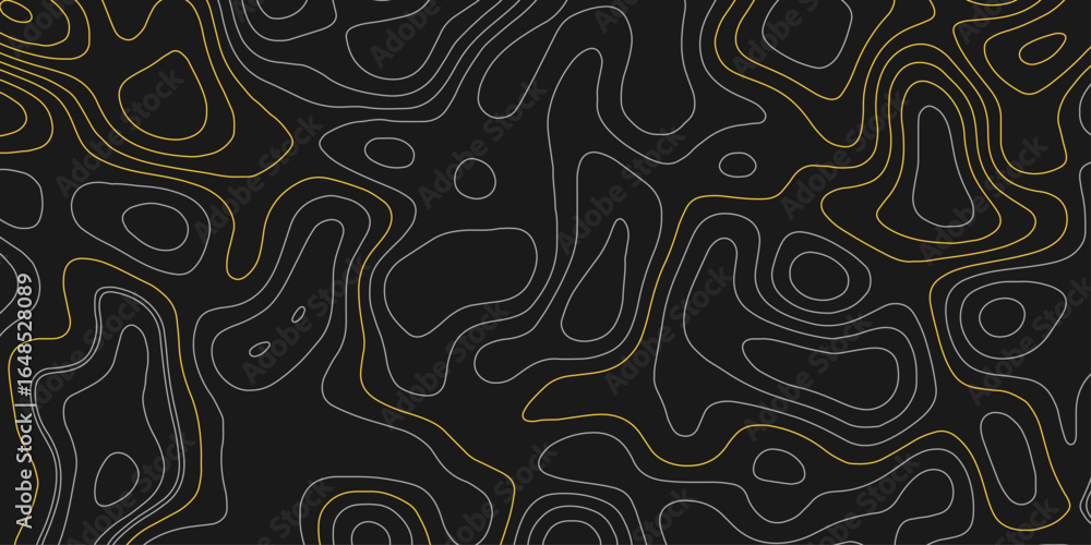 Poster the stylized height of the topographic map contour in lines