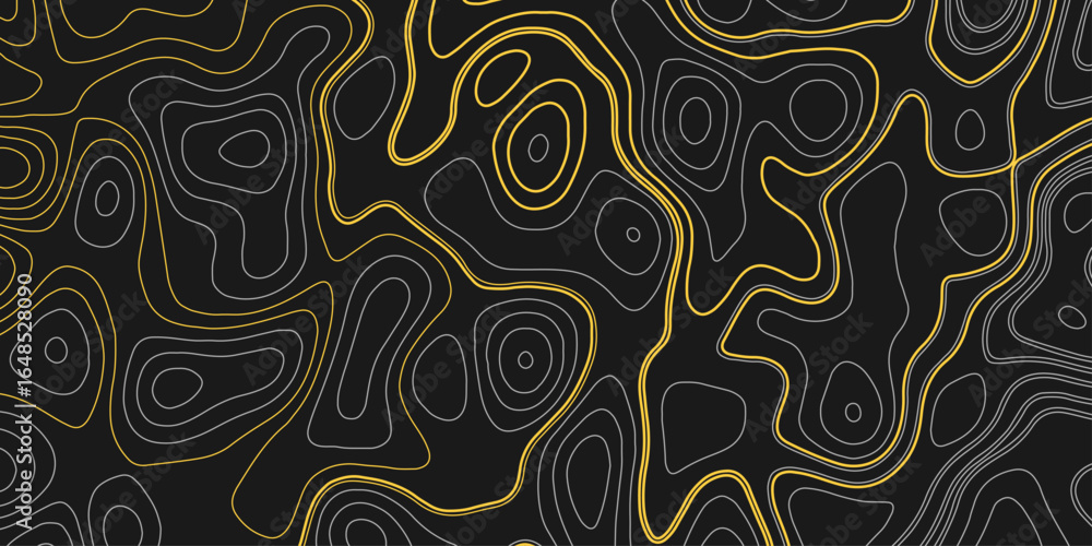 Fototapete the stylized height of the topographic map contour in lines and stroke gray colors. concept of a con
