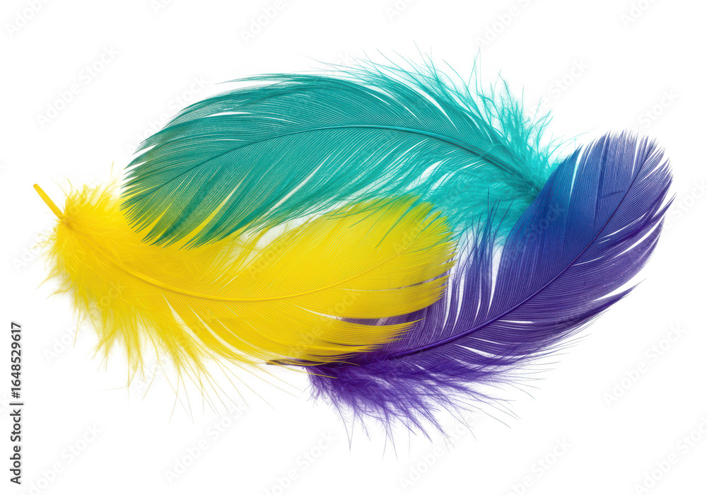 Poster three colorful feathers isolated on transparent background