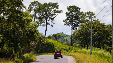 Scenic Road Trip: A winding road cuts through a vibrant, lush landscape, beckoning travelers to...