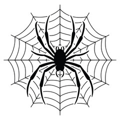 Obraz premium Black spider silhouette on cobweb isolated on white background