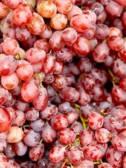 bunch of ripe red grapes on a dark background with drops of water on berries, closeup