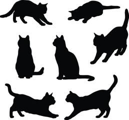 Collection of Cat Silhouettes in Various Poses on Transparent Background