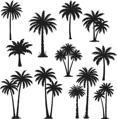 Collection of Palm Tree Silhouettes on Transparent Background
