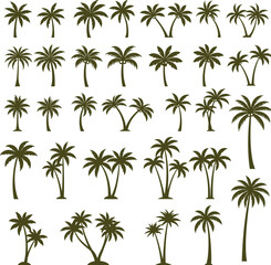 Collection of Palm Tree Silhouettes on Transparent Background