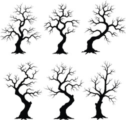 Six Bare Tree Silhouettes on transparent background