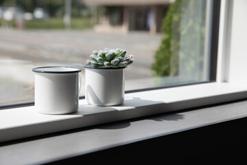 窓・サボテン・cactus・window