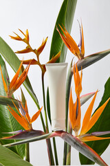 Bird of paradise flowers placed with large tropical leaves, styled vertically with a white pedestal...