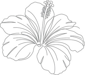 Elegant Hibiscus Flower Outline Illustration in Black and White on transparent background