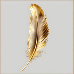 feather on white background
