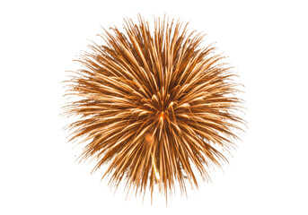 Golden firework burst isolated on transparent background