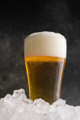 グラスに注がれた生ビール　beer