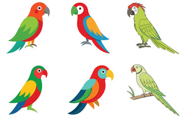 A vibrant cartoon illustration featuring a set of colorful parrots and other tropical birds with unique designs