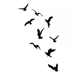 Silhouette set of flying seag...
