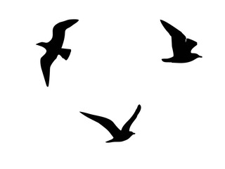 Silhouettes of 3 birds flying...