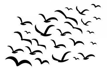 Silhouettes of groups of bird...