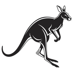 kangaroo vector illustration