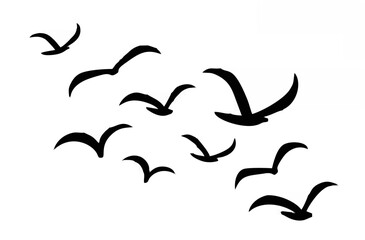 Silhouettes of groups of bird...