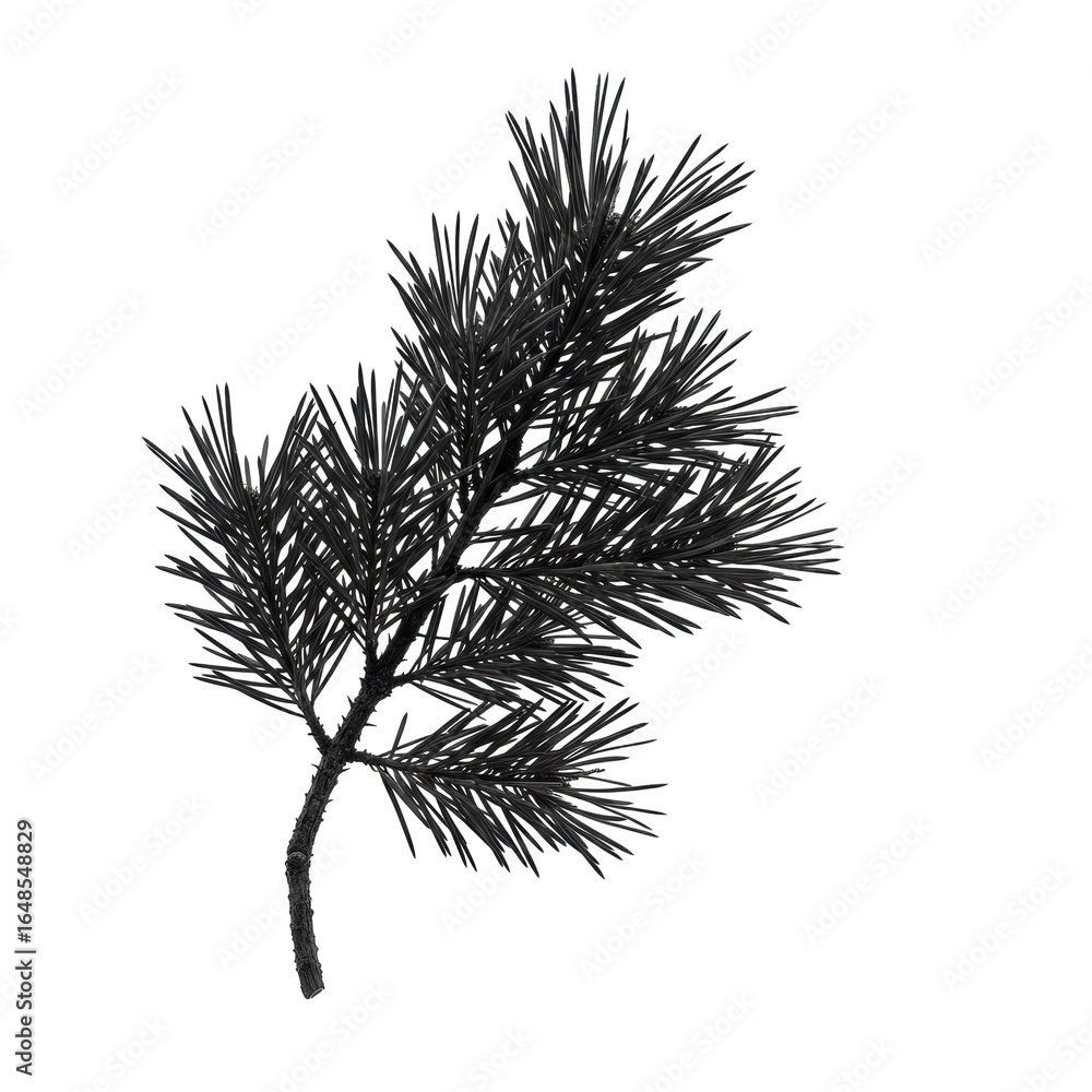 Fototapete a meticulously detailed dark pine branch with evergreen needles and subtle bark texture, precisely r