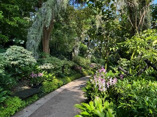 Streets, cityscapes and botanical garden in Singapore