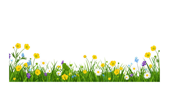 spring flowers border